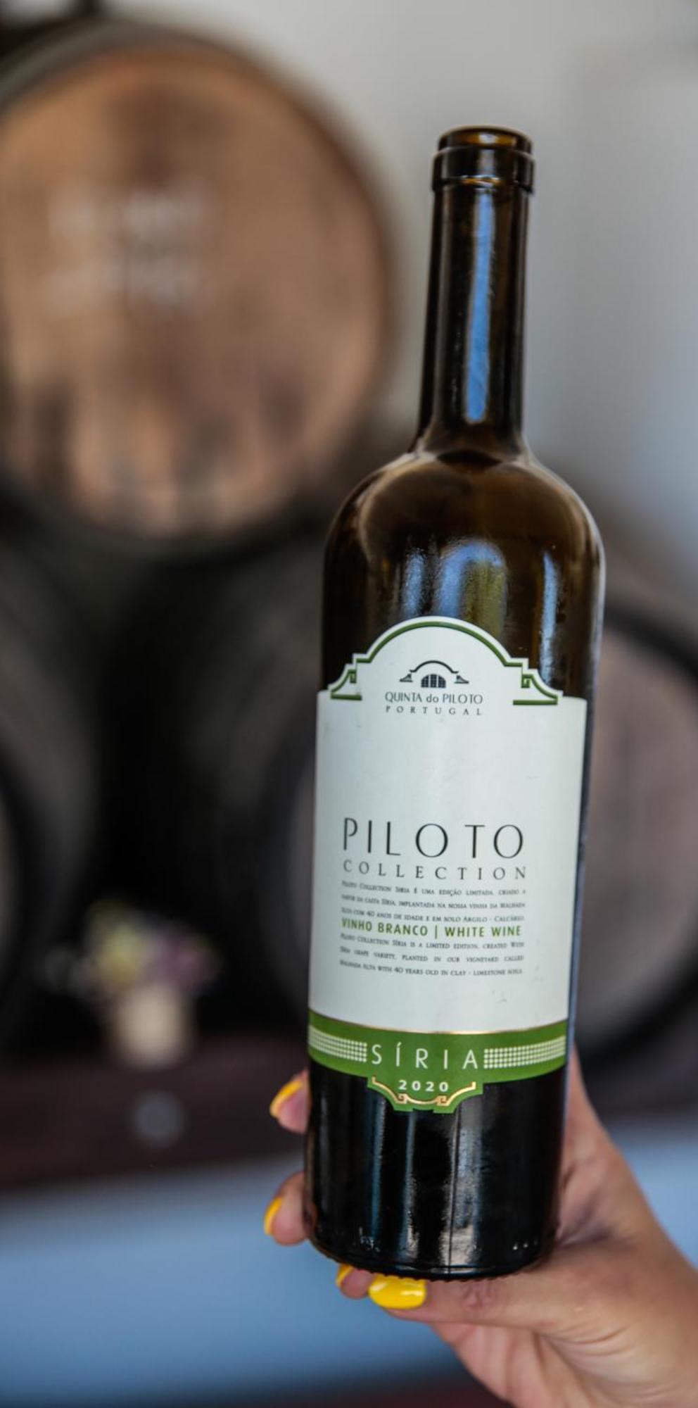 Affittacamere Quinta do Piloto Palmela Esterno foto