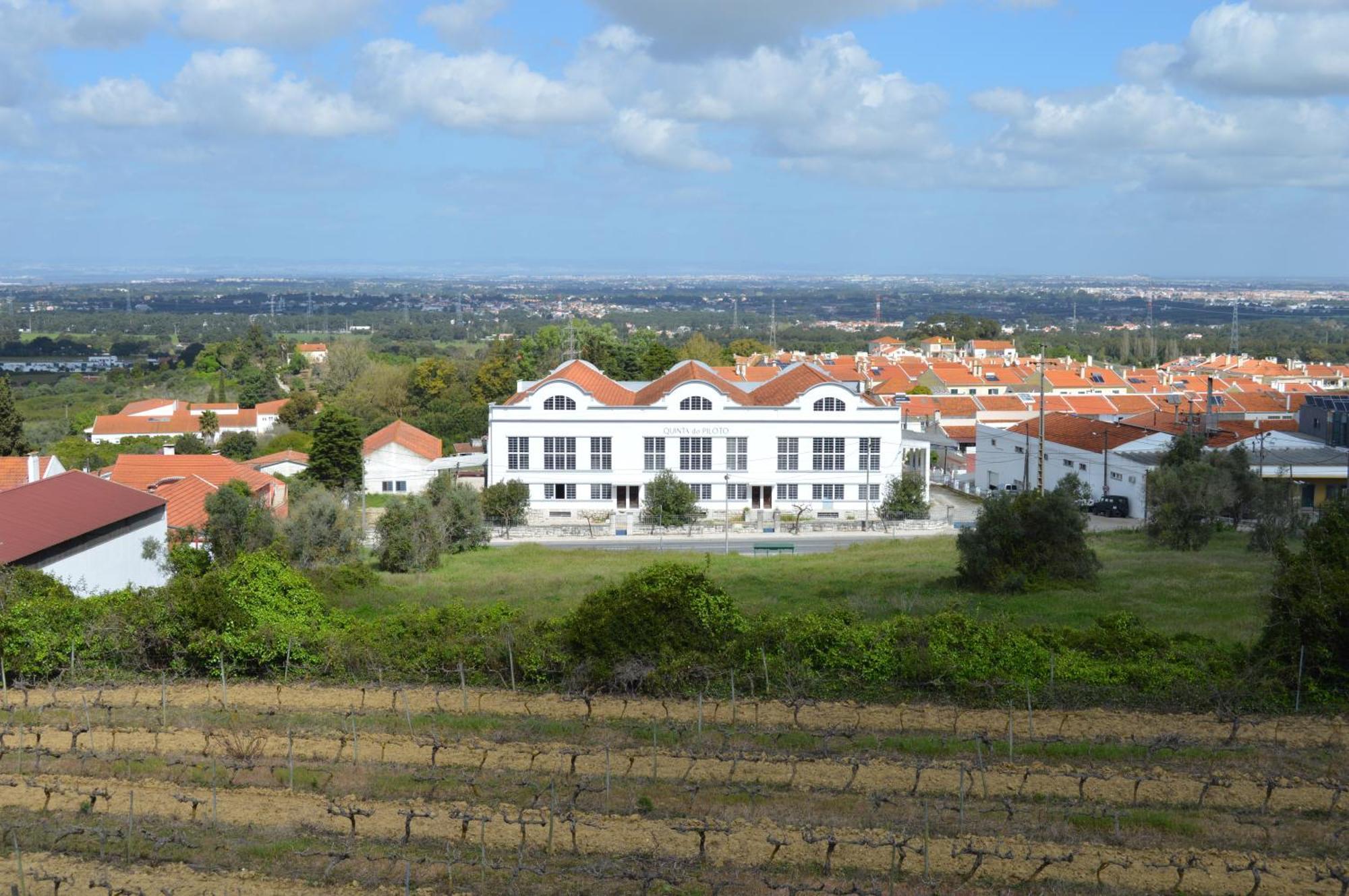 Affittacamere Quinta do Piloto Palmela Esterno foto