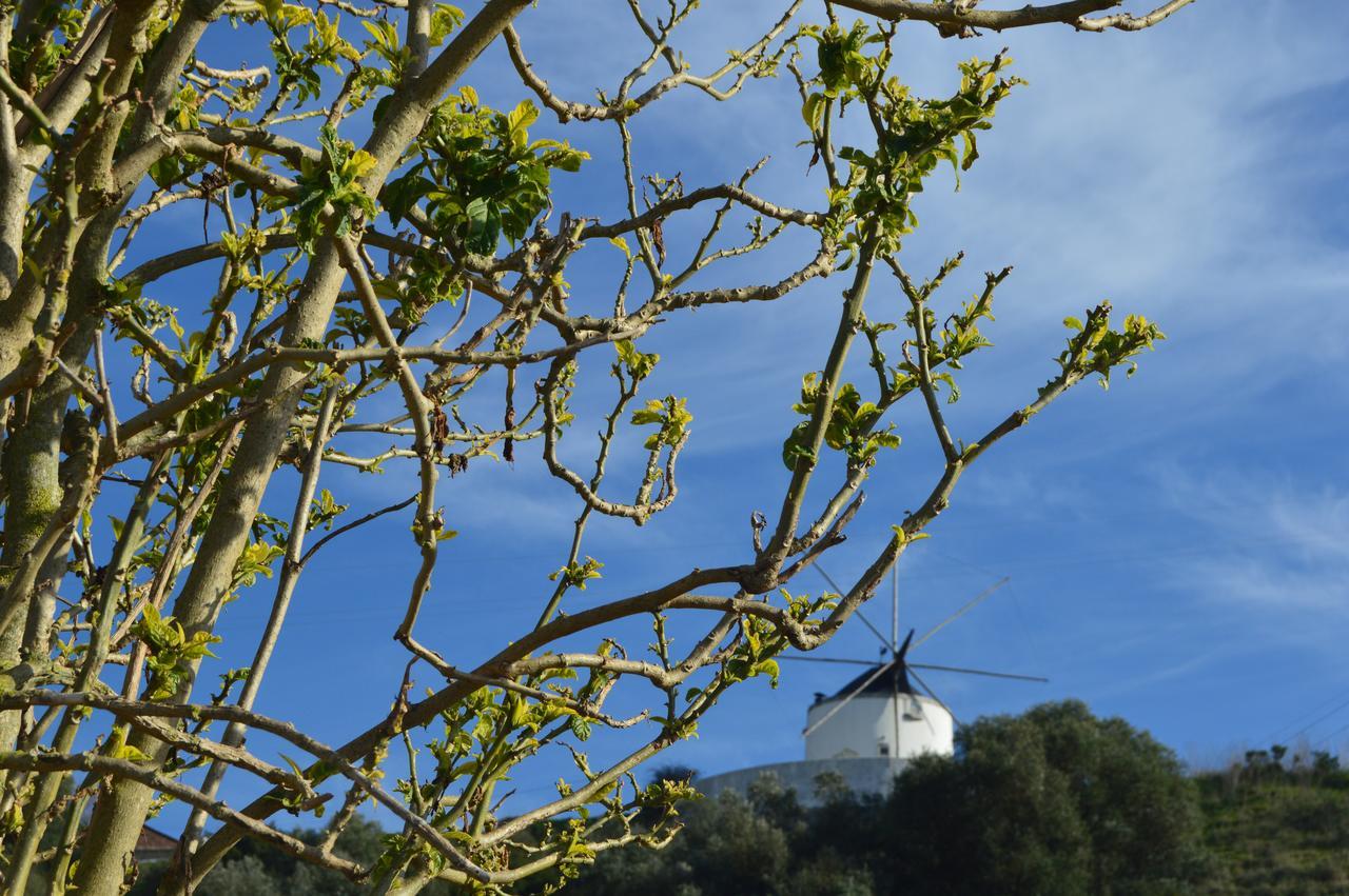 Affittacamere Quinta do Piloto Palmela Esterno foto